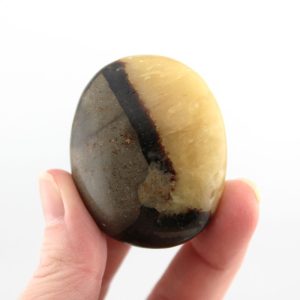 Septarian (Dragon Stone) Mini Palm Stone