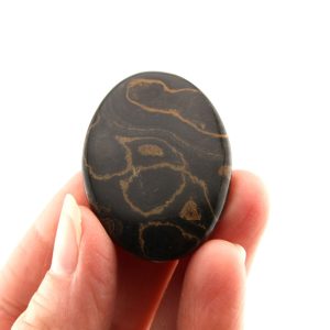 Stromatolite Fossil Cabochon