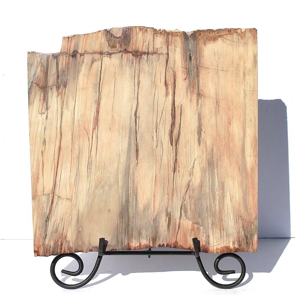 Petrified Wood Slab from Madagascar
