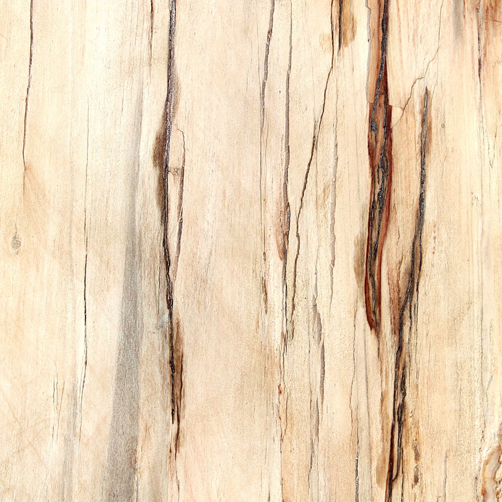 Petrified Wood Slab from Madagascar - Image 2