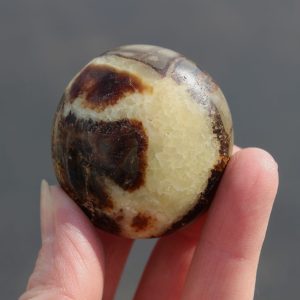 Septarian (Dragon Stone) Mini Palm Stone