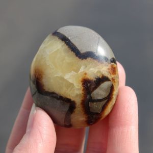 Septarian (Dragon Stone) Mini Palm Stone