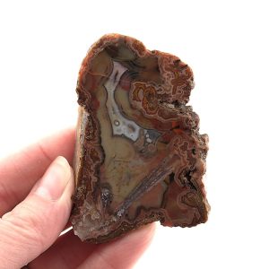 Agate Slice from Turkey