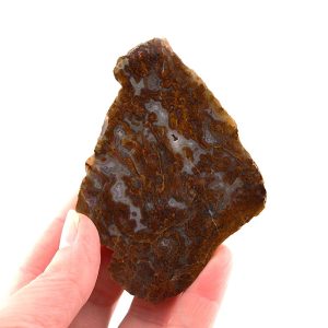 Agate Slice from Turkey