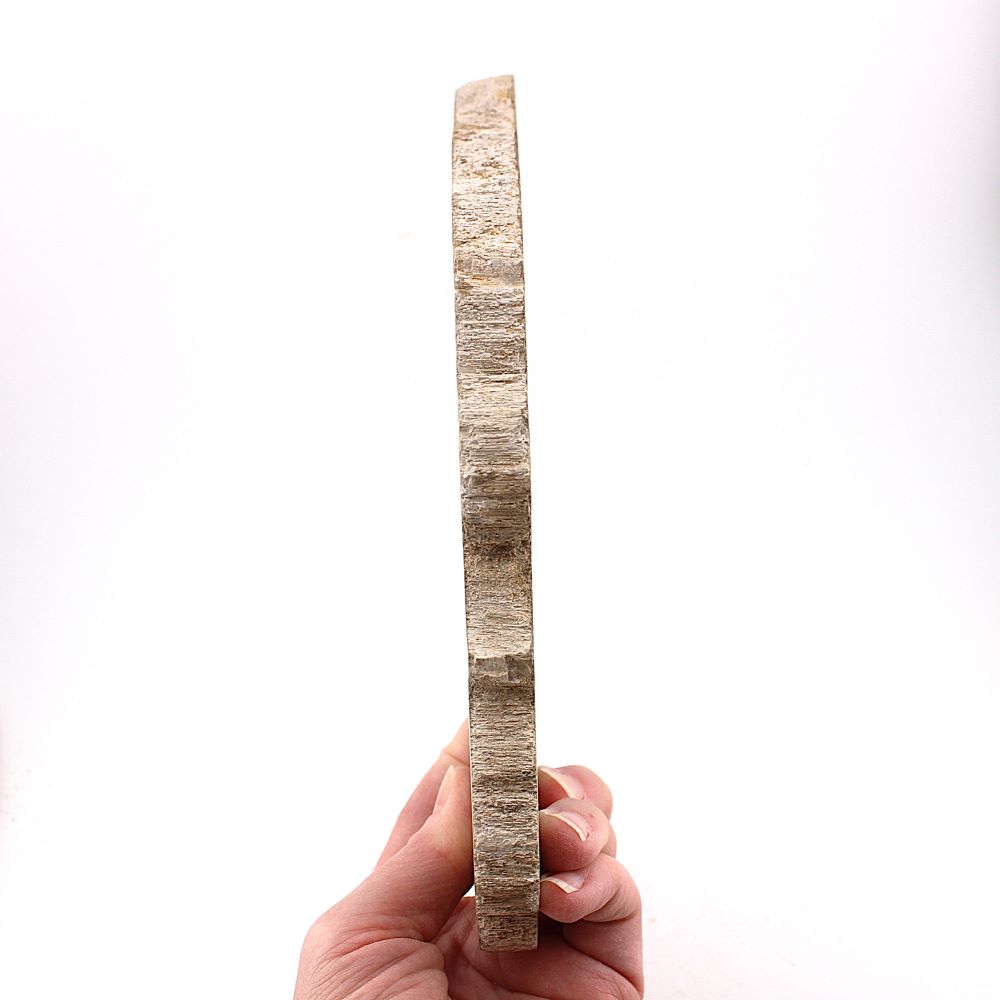 Petrified Wood Slab from Indonesia - Image 3