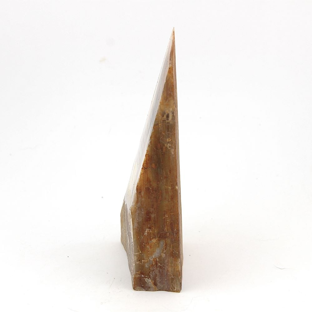 Petrified Wood Display Piece - Image 4