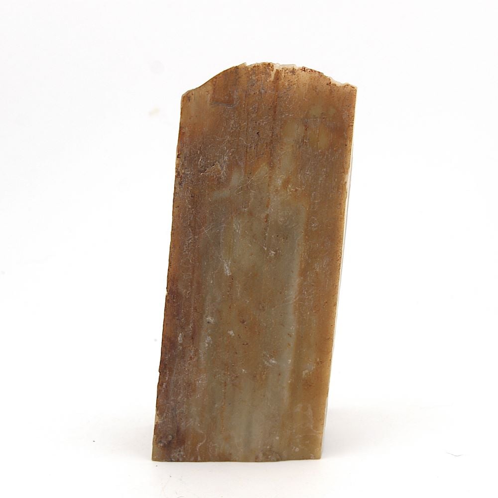 Petrified Wood Display Piece - Image 5