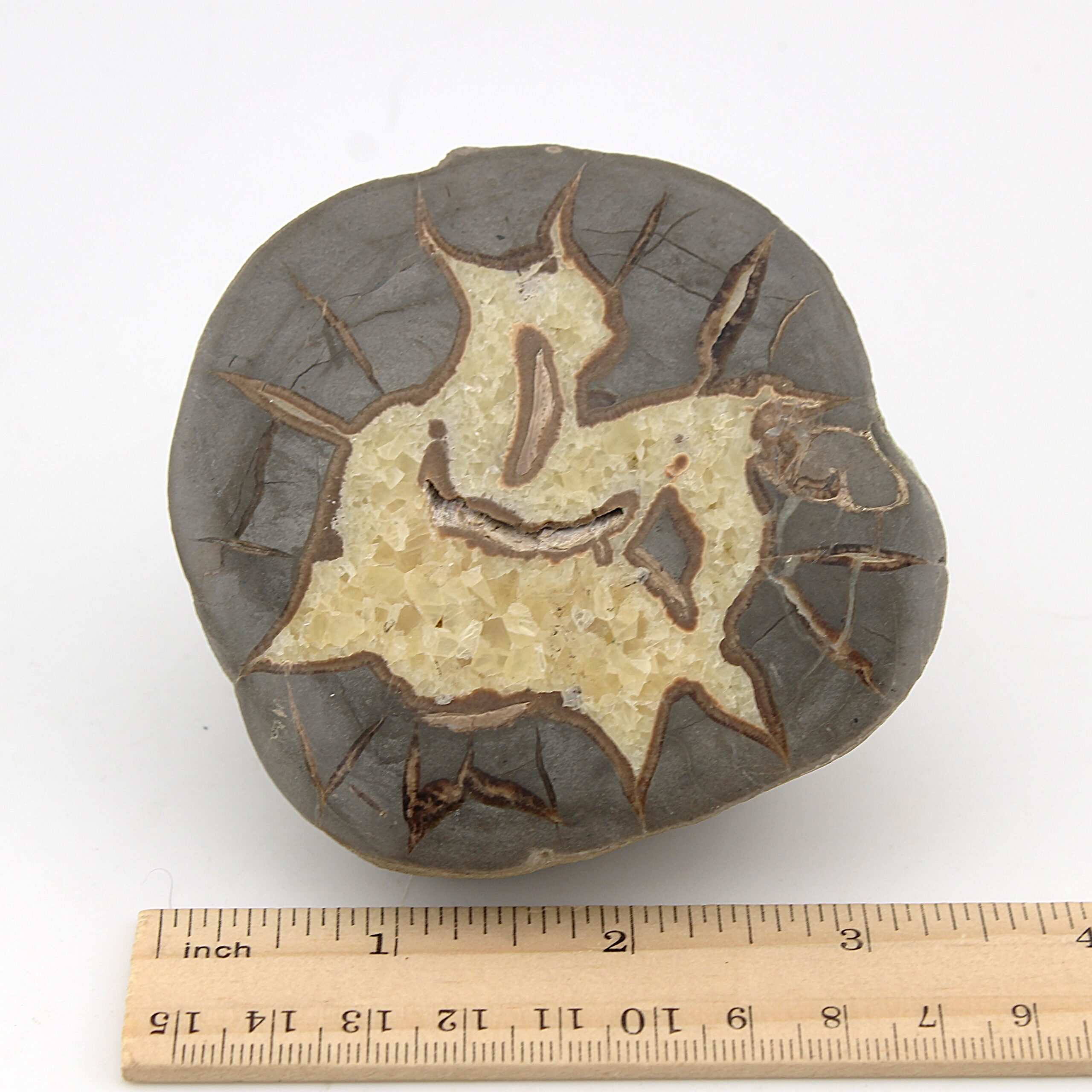 Septarian (Dragon Egg) from Utah - Image 2
