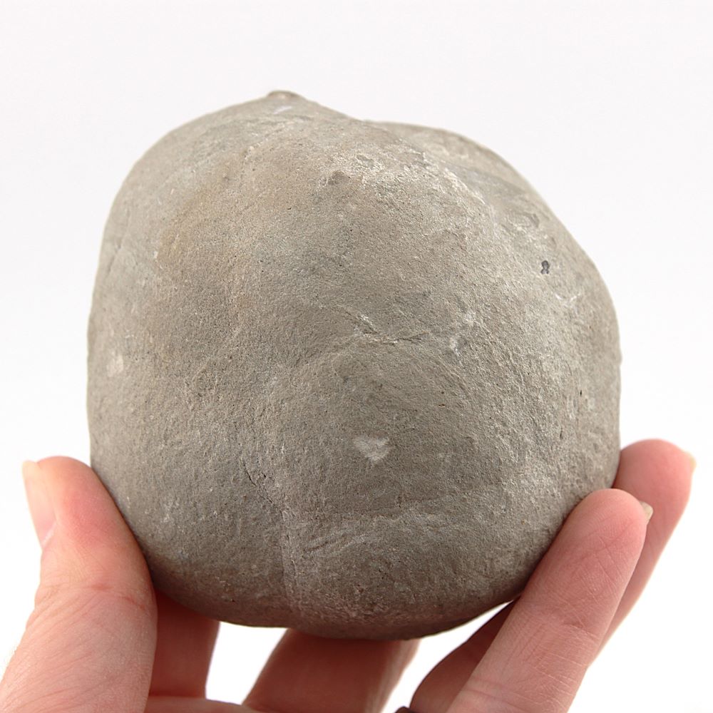 Septarian (Dragon Egg) from Utah - Image 4
