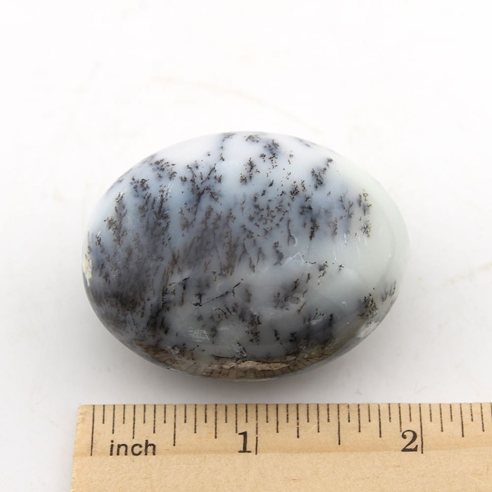 Dendritic Opal Palm Stone - Image 2