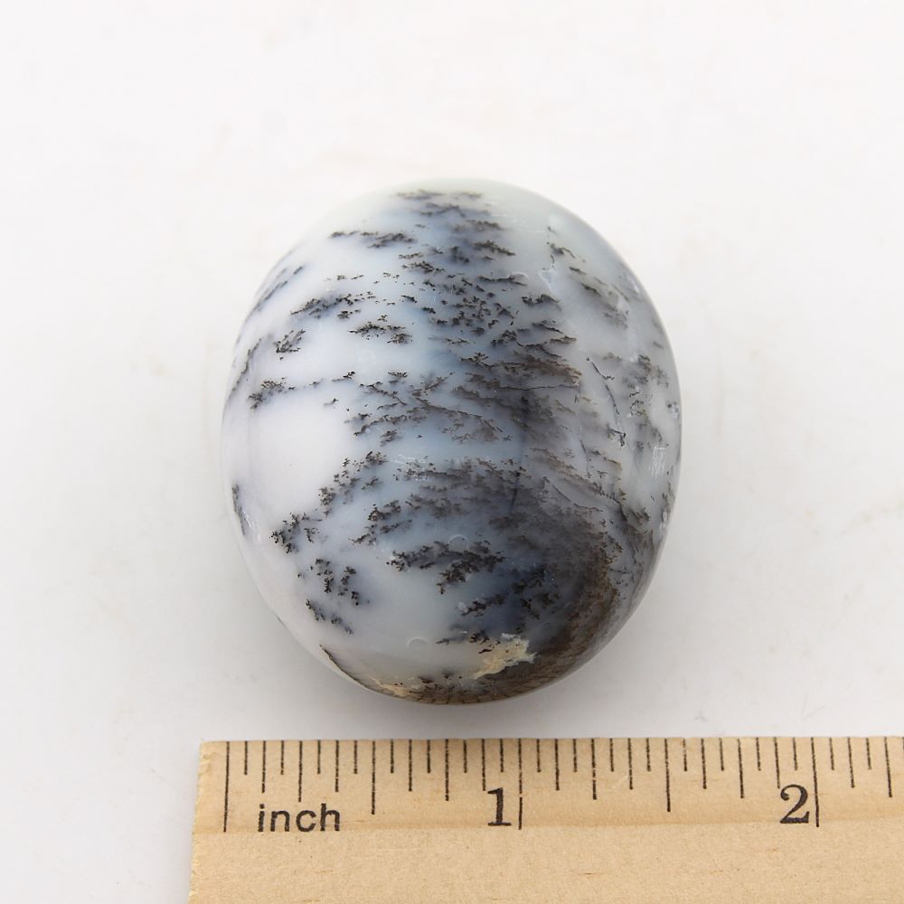 Dendritic Opal Palm Stone - Image 3