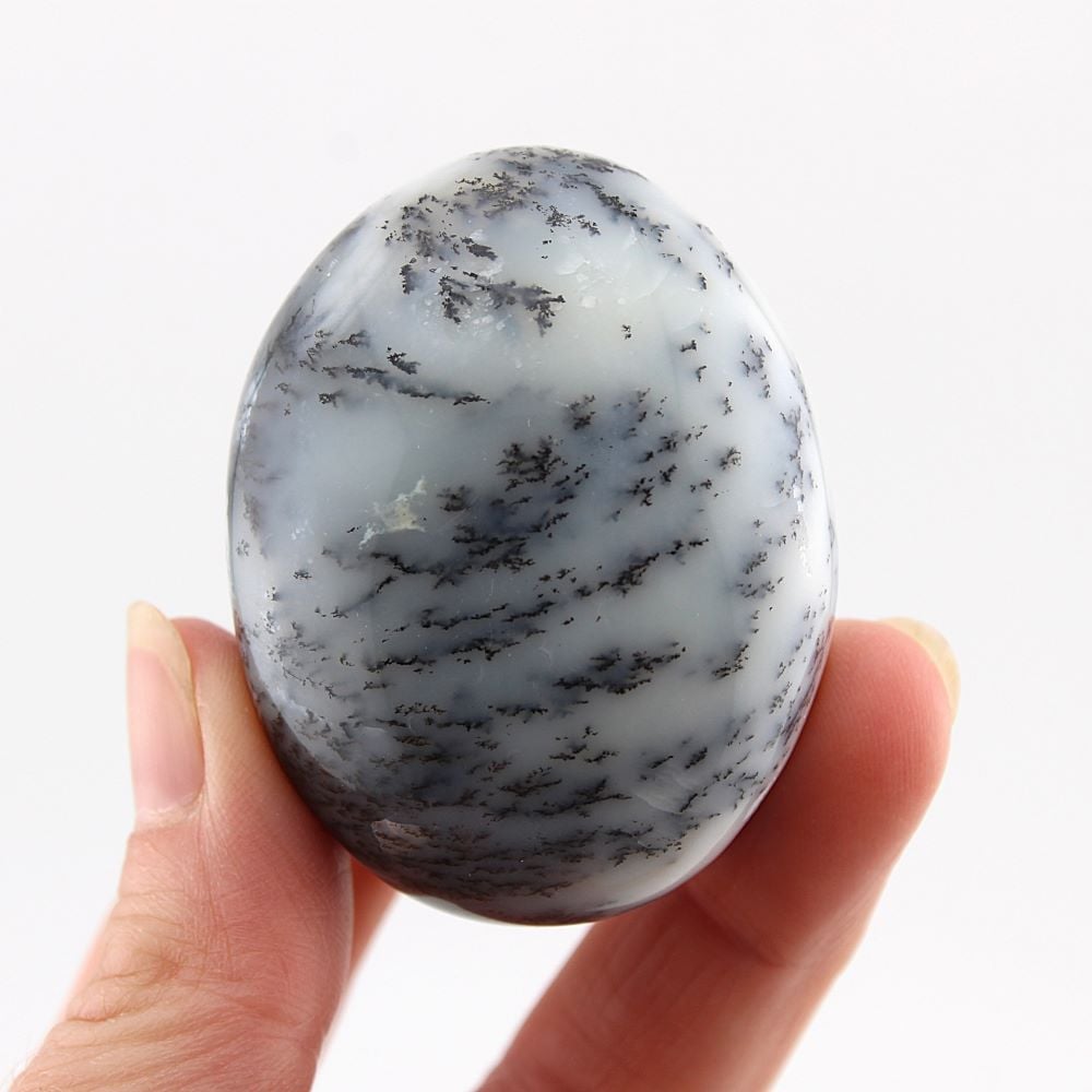 Dendritic Opal Palm Stone