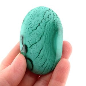 Malachite Palm Stone